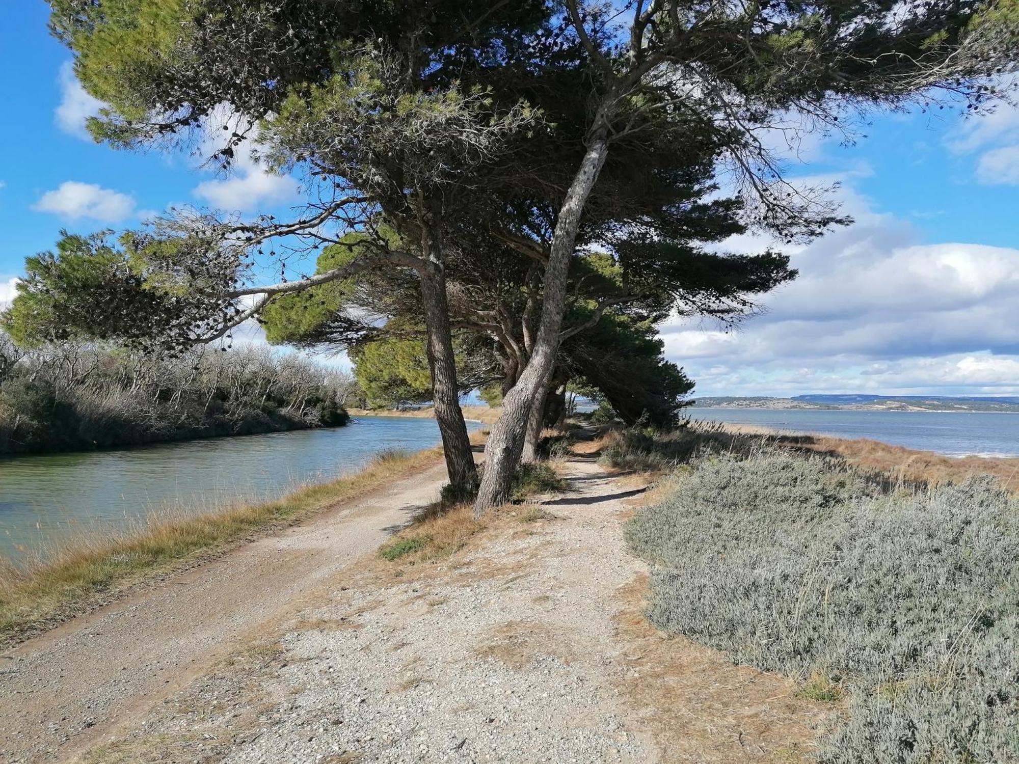 Entre Mer Et Roseaux - Piscine - Proche Centre Et Mer - Petfriendly Port-la-Nouvelle Eksteriør bilde
